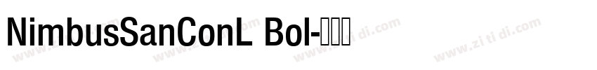 NimbusSanConL Bol字体转换